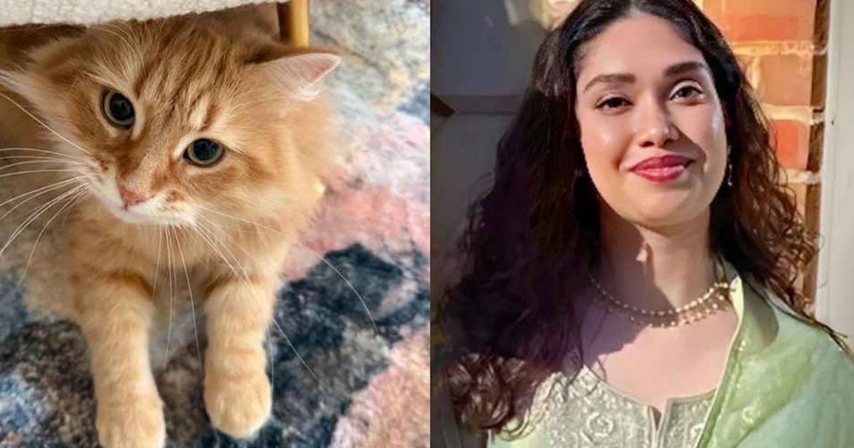 প্রিয় জেবুকে নিয়ে জাইমা রহমানের আবেগপূর্ণ সামাজিক পোস্ট