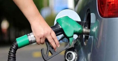 বিশ্ববাজারে তেলের দাম বছরে প্রায় ২০ শতাংশ কমেছে