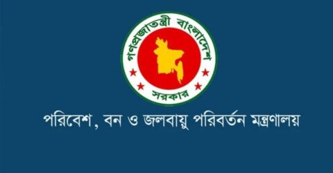 বন ও বৃক্ষ সংরক্ষণ বিভাগীয় অধ্যাদেশ ২০২৬ জারি: গাছ কাটলে জরিমানা এক লাখ টাকা