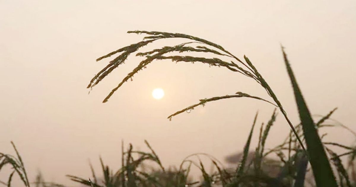 উত্তরাঞ্চলে জলবায়ু পরিবর্তনের প্রভাব: অস্বাভাবিক আবহাওয়া এবং উদ্বেগজনক পরিবর্তন