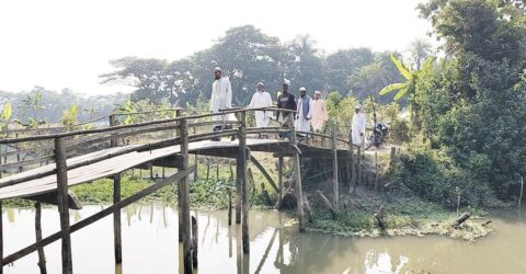 নড়বড়ে কাঠের ব্রিজে জীবনঝুঁকি নেয় এলাকাবাসী