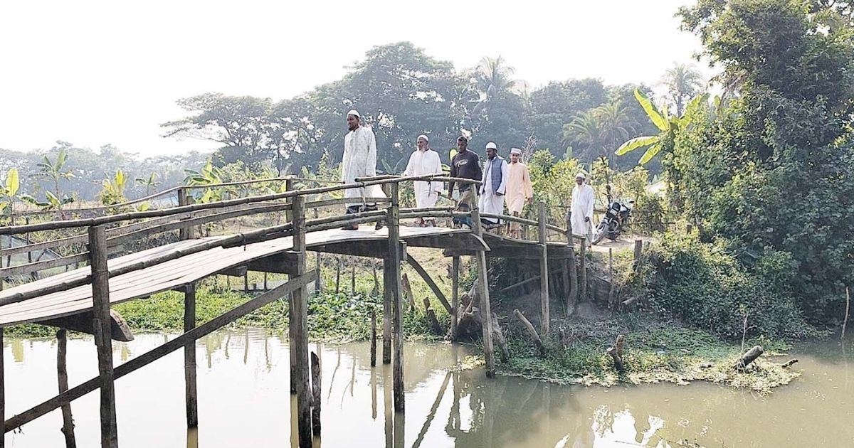 নড়বড়ে কাঠের ব্রিজে জীবনঝুঁকি নেয় এলাকাবাসী