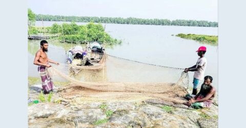 সুন্দরবনের বনজীবীরা বন ছাড়তে বাধ্য হচ্ছেন বিকল্প জীবিকার সন্ধানে