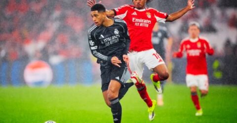 চ্যাম্পিয়নস লিগ প্লে-অফ ড্র: আবারও রিয়াল মাদ্রিদের প্রতিপক্ষ বেনফিকা