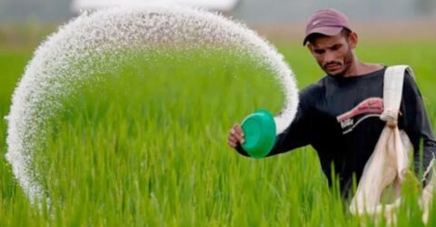সরকারের সিদ্ধান্ত: ২ লাখ ১০ হাজার টন সার ক্রয়ে ব্যয় হবে ১৩৭০ কোটি টাকা