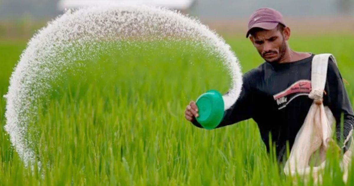 সরকারের সিদ্ধান্ত: ২ লাখ ১০ হাজার টন সার ক্রয়ে ব্যয় হবে ১৩৭০ কোটি টাকা