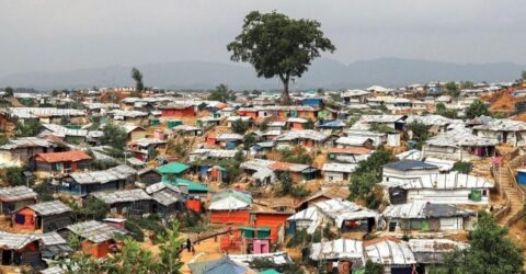 উখিয়ায় যৌথ বাহিনীর বিশেষ অভিযানে ১৫০০ রোহিঙ্গা আটক