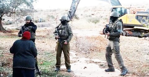 পশ্চিম তীরে ইসরায়েলি দখলদারির বিরুদ্ধে মুসলিম বিশ্ব দৃঢ় অবস্থানে