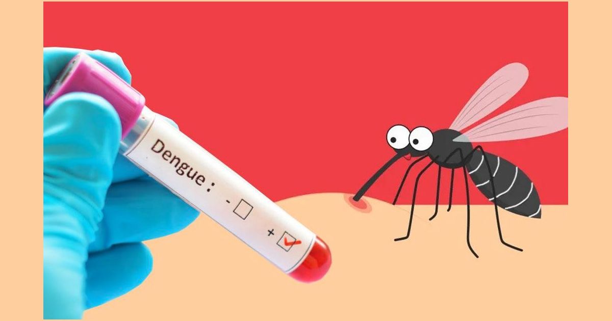 একদিনে আরও ৩১ জন ডেঙ্গু আক্রান্ত