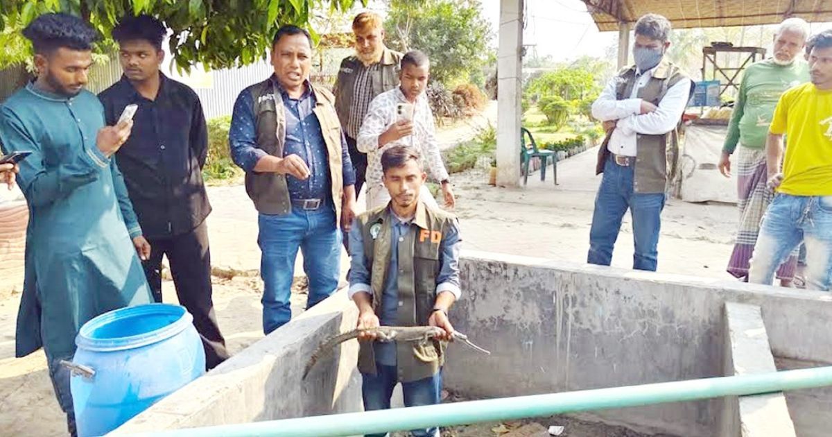 কুষ্টিয়ায় ইউটিউব ভিলেজ থেকে মহাবিপন্ন ঘড়িয়াল ও কাছিম উদ্ধার