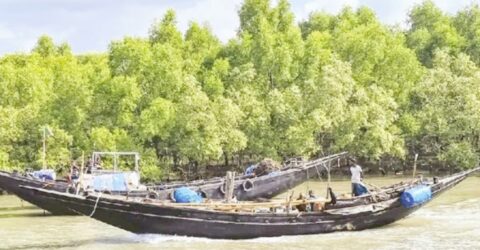 সুন্দরবন উপকূলে দস্যু তাণ্ডব মোকাবেলায় জেলেরা আতঙ্কে, মাছ ধরা বন্ধের আশঙ্কা