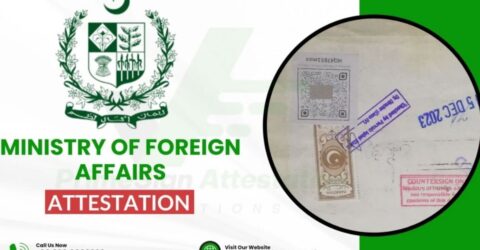 পাকিস্তানকে ডাকা হলো ‘কূটনৈতিক চরমপত্র’ আফগানিস্তানের বিরুদ্ধে