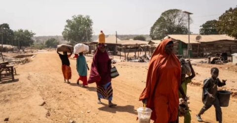 নাইজেরিয়ায় বন্দুক হামলায় নিহত অন্তত ৫০