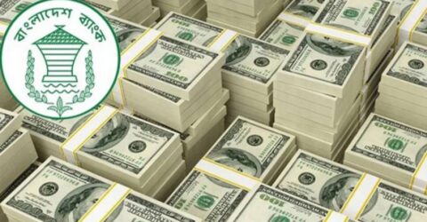 বাংলাদেশ ব্যাংক আট ব্যাংক থেকে ১২৩ মিলিয়ন ডলার কিনেছে