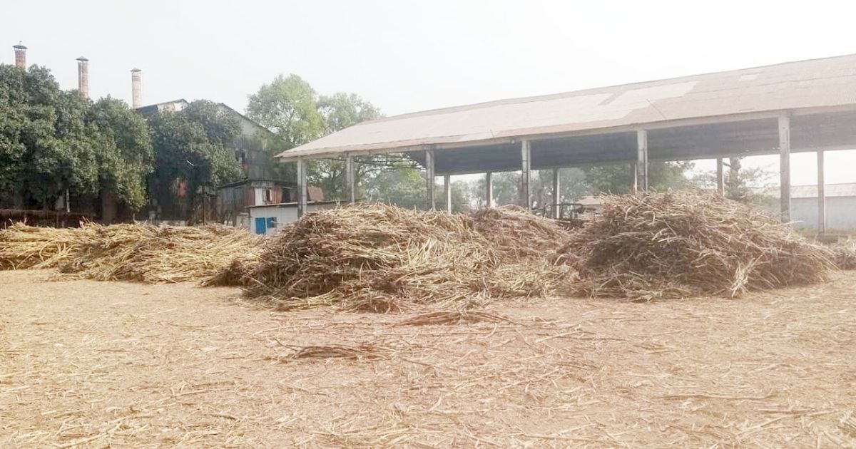 আখের অভাবে পঞ্চগড়ে চালু হচ্ছে না পঞ্চগড় সুগার মিল