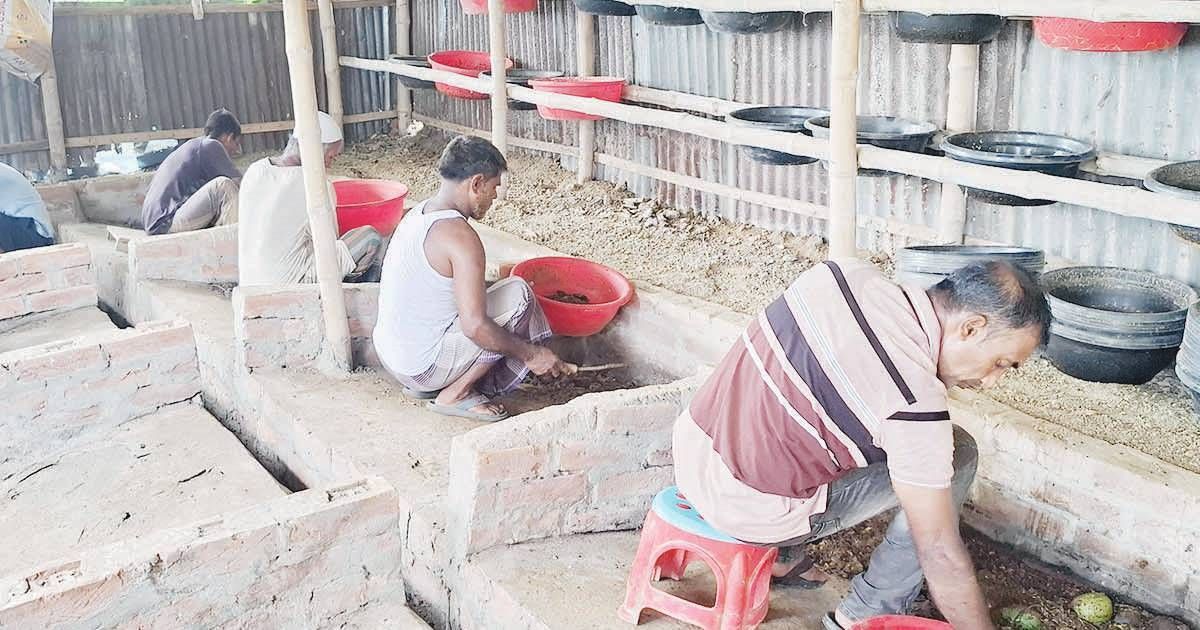 নওগাঁয়ে জনপ্রিয় হয়ে উঠছে কালো সৈনিক পোকা, প্রোটিনের বিকল্প হিসেবে নতুন দিগন্ত