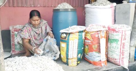 মাছের উচ্ছিষ্ট আঁশে কর্মসংস্থান ও বিদেশি অর্থায়ন