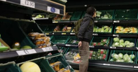 বিশ্ববাজারে খাদ্যপণ্যের দাম ঊর্ধ্বমুখী, সারের সরবরাহে অস্থিরতা