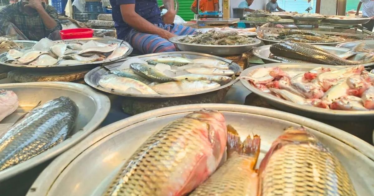 রাজধানীর মাছের বাজারে অস্বস্তি: ২০০ টাকার নিচে কোনো মাছই মিলছে না