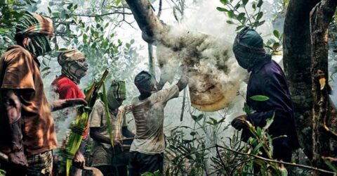 বনদস্যু আতঙ্কে বন্ধ মধু সংগ্রহ মৌসুম