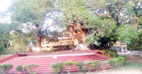 রাউজানে মহাআয়োজনে বর্ষবরণ ও সাংস্কৃতিক আয়োজনের ধুম