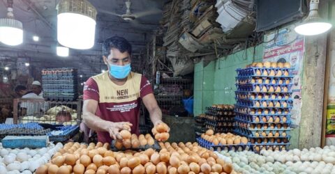 ঢাকার বাজারে ডিমের দাম আকাশছোঁয়া, ক্রেতাদের দুরবস্থা; ব্রয়লার মুরগির দাম কিছুটা কমেছে