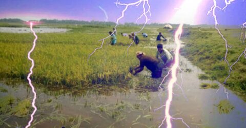 সুনামগঞ্জে বজ্রপাতে ৫ জনের মৃত্যু