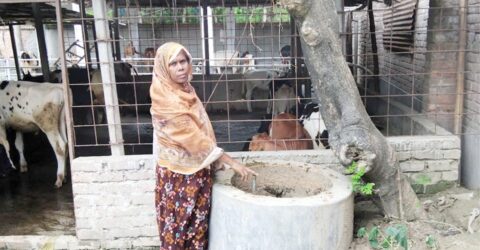 গ্রামের নারীদের অনুপ্রেরণা মুর্শিদা