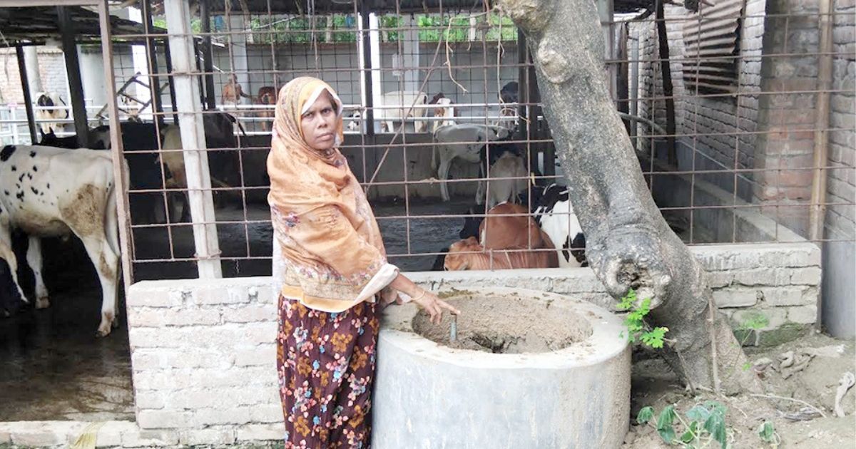 গ্রামের নারীদের অনুপ্রেরণা মুর্শিদা