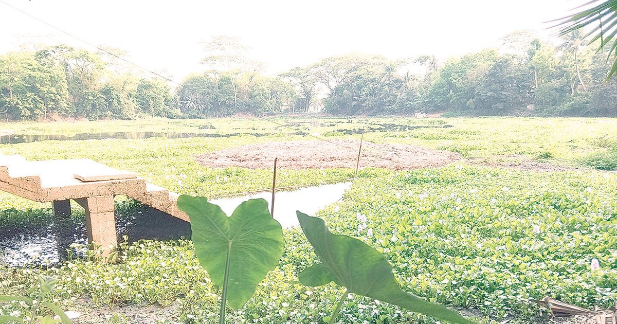 কালের সাক্ষী চারশ বছরের আলগী দিঘি