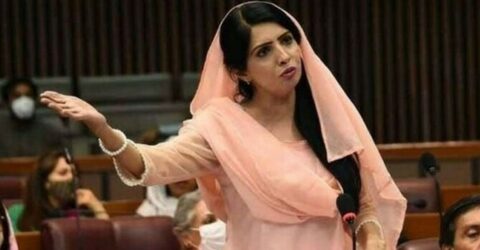 পিটিআই নেতা আলিয়া হামজা মালিক গ্রেফতার