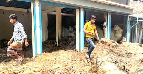 ফরিদপুরে পাটের গুদামে আগুন, ৩০ লাখ টাকার ক্ষতির দাবি