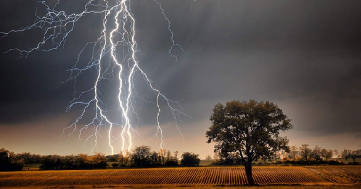 নওগাঁ ও ঝিনাইদহে বজ্রপাতে তিন কৃষকের মৃত্যু, আহত ৭