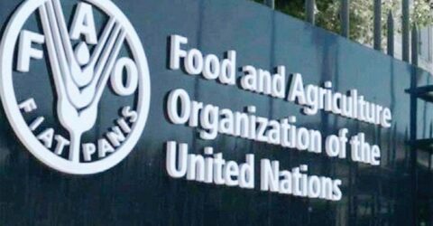 মধ্যপ্রাচ্য অস্থিরতায় বিশ্বব্যাপী খাদ্যপণ্যের দামে ঊধ্বগতি