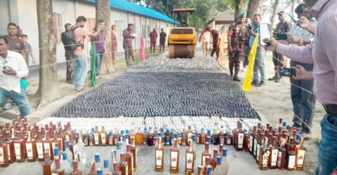 কুষ্টিয়া-মেহেরপুর সীমান্তে জব্দ মাদকের চালান ধ্বংস