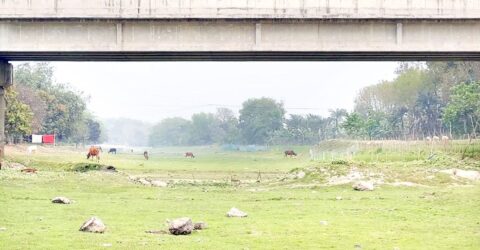 দখল, দূষণ আর খননের অভাবে ঝিনাইদহে মরা ১২ খাল-নদী