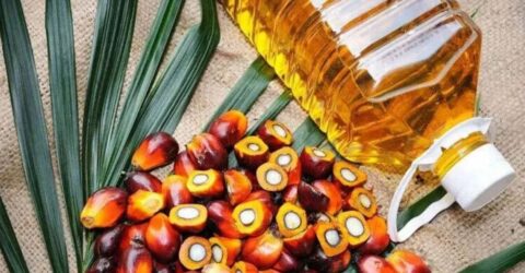 বিশ্ববাজারে পাম অয়েলের দামে বড় দরপতন