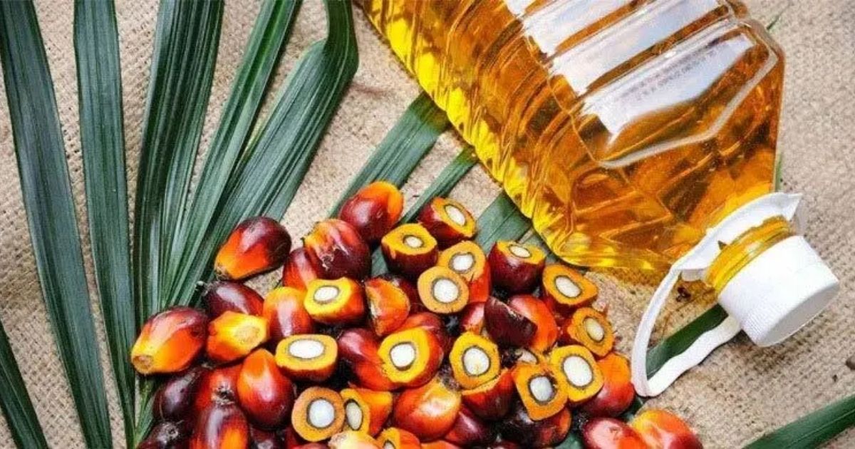 বিশ্ববাজারে পাম অয়েলের দামে বড় দরপতন