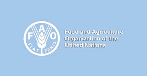 বিশ্বজুড়ে ভয়াবহ খাদ্যসংকটের শঙ্কা