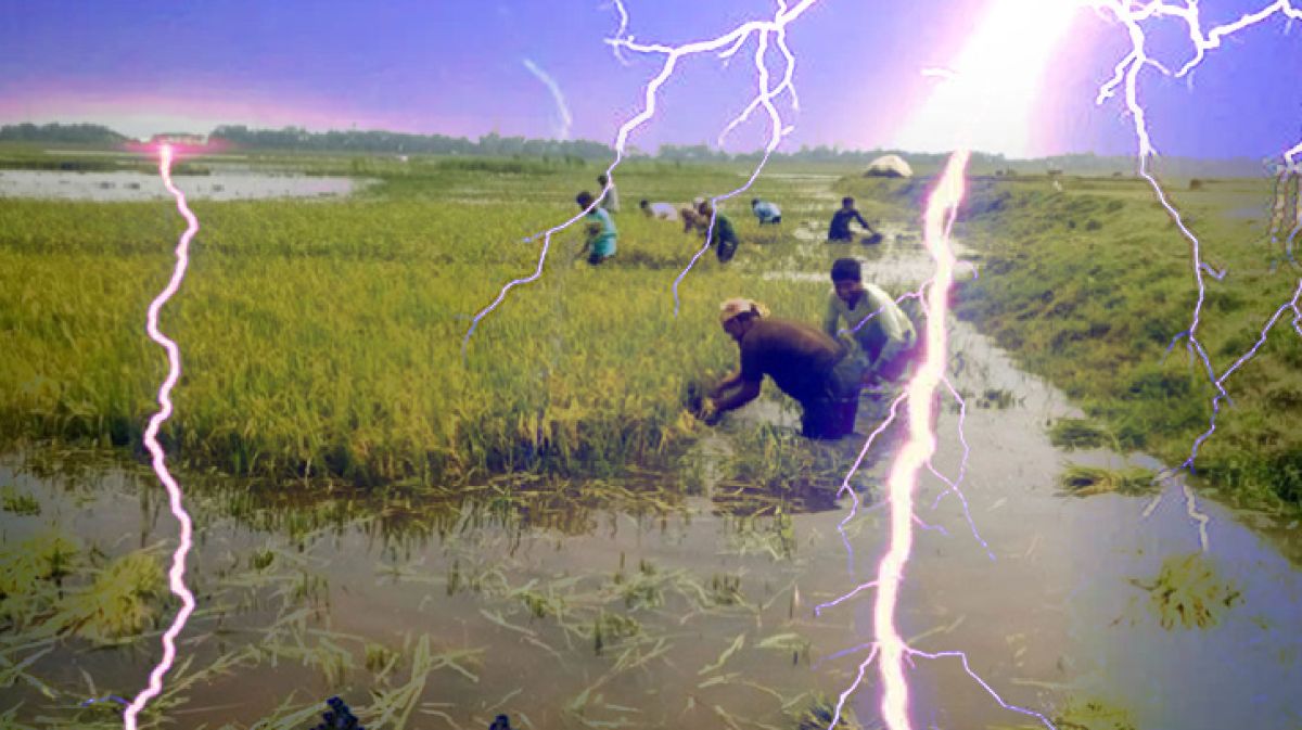 সুনামগঞ্জে বজ্রপাতে ৫ জনের মৃত্যু