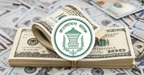 দেশে বৈদেশিক মুদ্রার রিজার্ভ ৩৫.১৩ বিলিয়ন ডলার