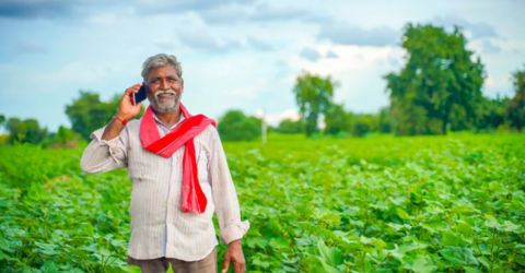 খাদ্য নিরাপত্তা নিশ্চিতে ডিজিটাল কমিউনিকেশন চ্যানেল